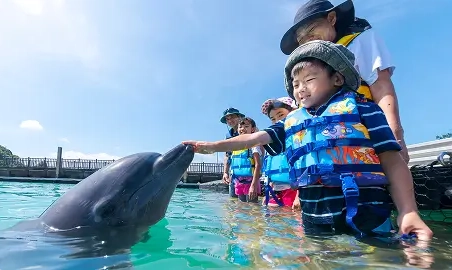 もとぶ元気村のご紹介