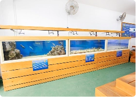 Genkimura Aquarium