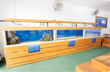 元気村水族館
