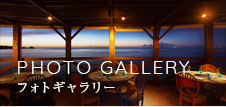 フォトギャラリー