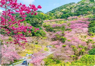 八重岳